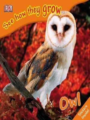 cover image of Owl